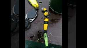 Ловля щуки на мандулу и стримеры. Пруд Жуково  16 декабря 2021 г