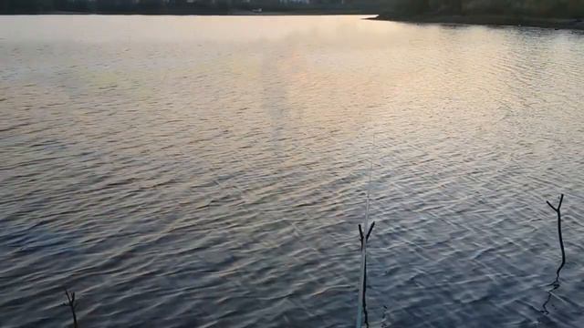 31 мая рыбалка на паплывки смотреть онлайн