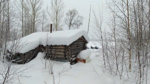 ИЗБУШКА В ЛЕСУ. БАТЯ ВЕРНУЛСЯ В ИЗБУШКУ В КОТОРОЙ НЕ БЫЛ БОЛЕЕ ТРИДЦАТИ ЛЕТ. РЕАКЦИЯ ОТЦА НА ИЗБУ.