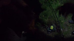 ОСЕННЯЯ РЫБАЛКА С НОЧЁВКОЙ БЕРЕГ РЕКИ НАРОВА/11.09.2020 ЛОВЛЯ ЛЕЩА НА ФИДЕР.РЫБАЧИМ С КОРЕШЕМ.