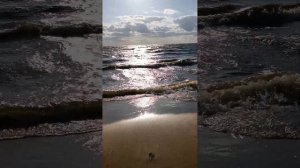 Природа Псковской области, Гдовский район, Чудское озеро