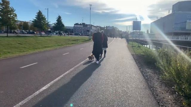 A Day in Oulu City Finland // Walking around Oulu City Centre // Oulu Finland @JitendraNegiVlogs