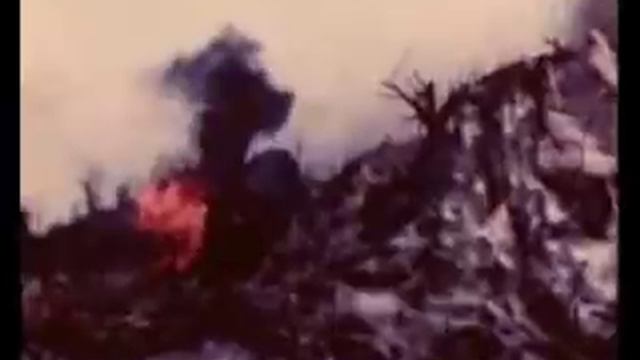 Ночной Дозор смотреть онлайн