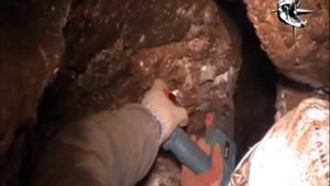 2009 Семь футов