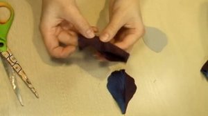 ИРИС ИЗ АТЛАСА Часть 1