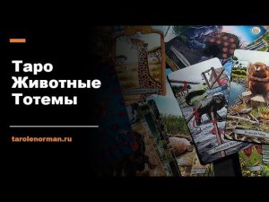 Таро Животные Тотемы от Лизы Робертсон и издательства ФАИР