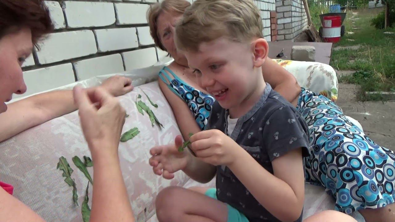 Art Manij VLOG Последний день на даче + сбор яблок