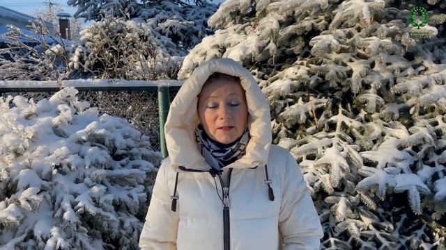 .Сказочная зима.Условия для хорошей зимовки роз. Питомник растений Е. Иващенко
