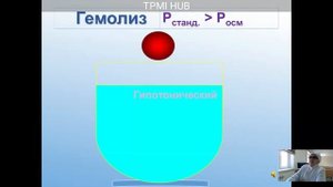 Медицинская химия. Коллигативные свойства растворов. Осмос. Осмостические свойства растворов