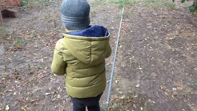 Нанял рабочих на уборку тыквы... смотреть онлайн