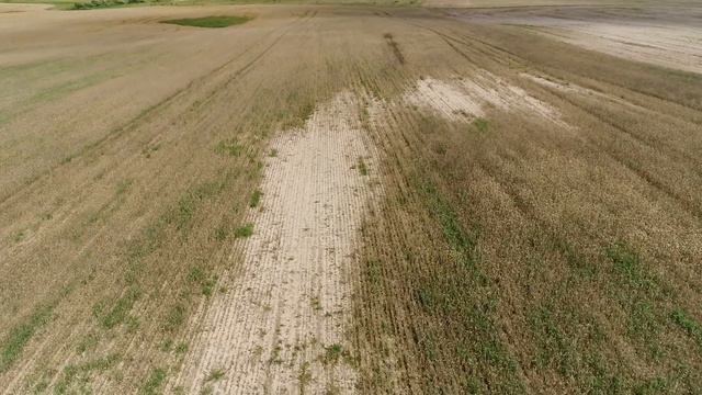 Кисил 10 66,60 #14 смотреть онлайн