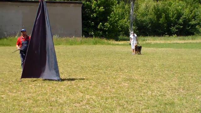 Сильвана атаки через барьер 14.06.2020 смотреть онлайн