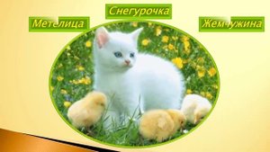 Необычные клички для белых котов и кошек!Смешные животные # 12