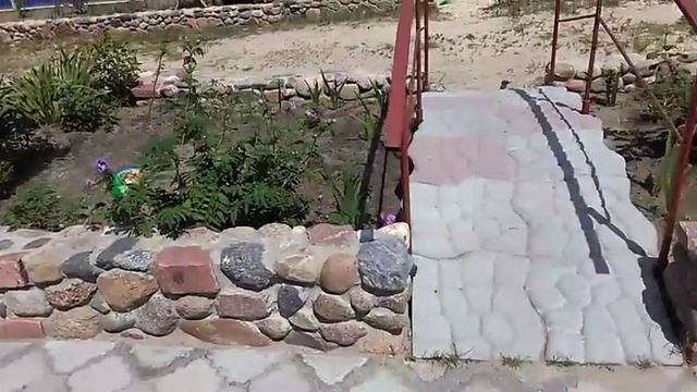 ШТАМБОВЫЕ РОЗЫ И ДЕКОРАТИВНЫЙ МОСТИК ВО ДВОРЕ. смотреть онлайн