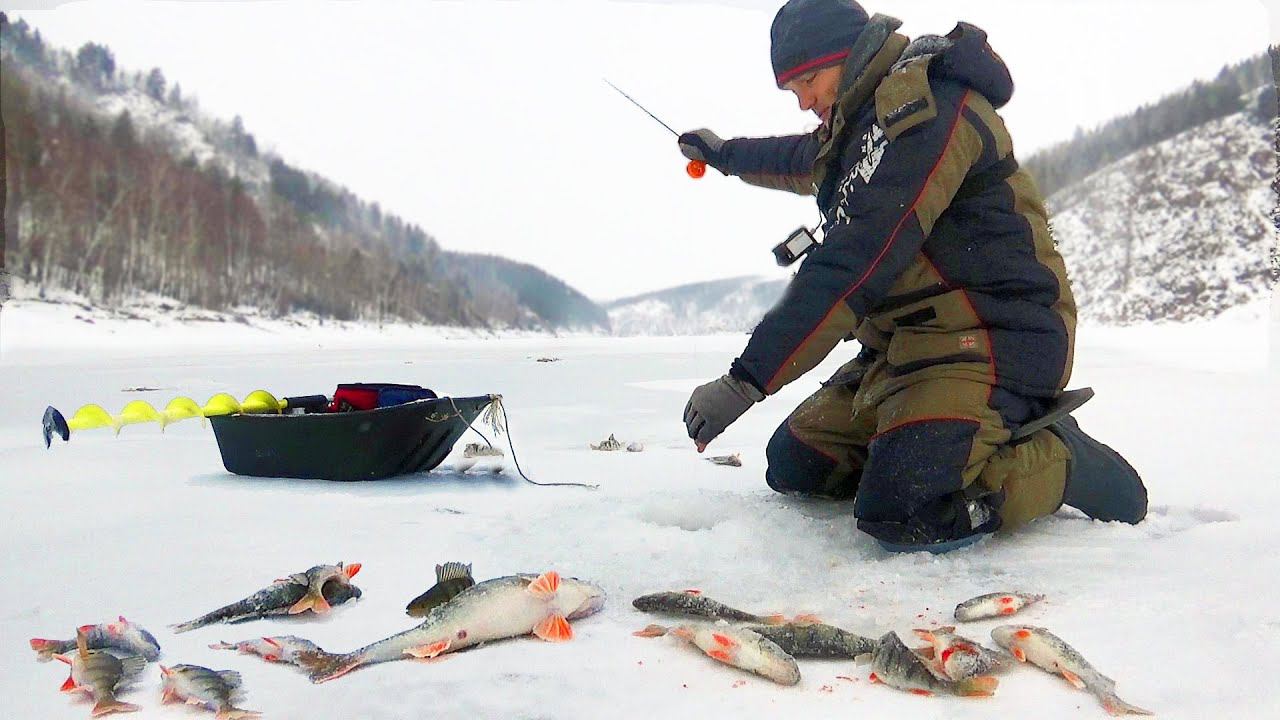 ЗАПРЕЩЁННОЙ СНАСТЬЮ! Рыбалка не по правилам! КОПЧЕНИЕ ПО ГОРЯЧЕМУ ДОМА!