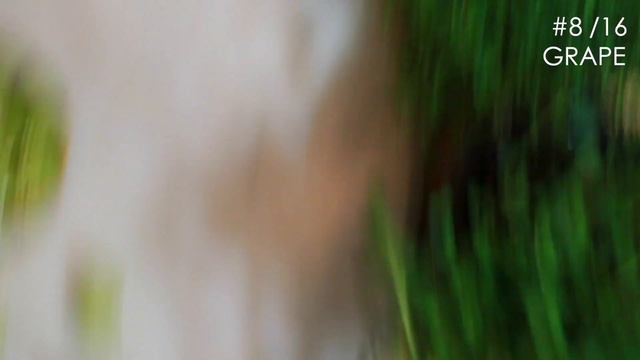 FRUIT TART 16 WAYS! | Fruit Tart Decorating смотреть онлайн