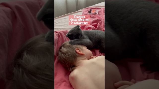 30 мая – День обнимания с котиками. Грею очень нравится. А ваши котики обнимаются с вами?