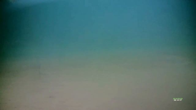 Подводная камера с записью.Видео Ful HD регистратора на 5 м глубине. смотреть онлайн