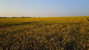 Игумен Никон Воробьев о Рождестве Христовом.