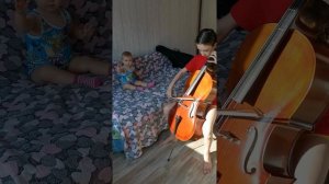 Виолончель