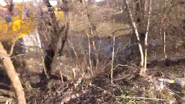 0417, город Орёл, посёлок Зареченский, поход, Дворянка, Заречка, Некрасовка