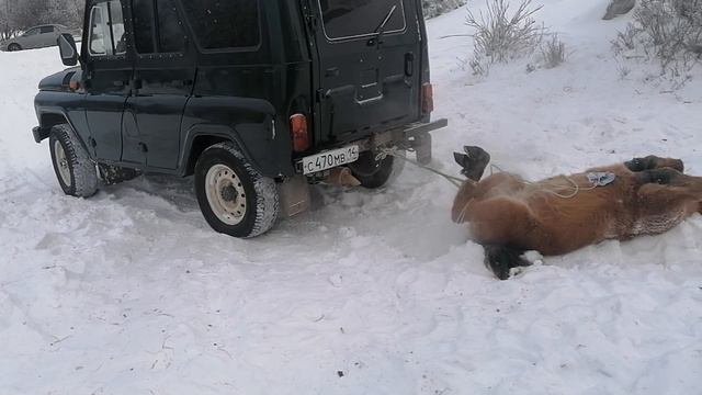убаьа😋