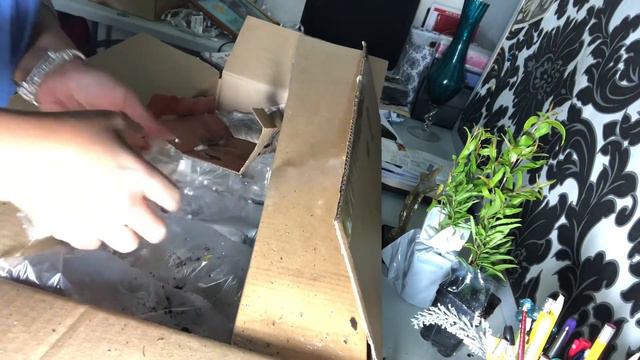 Michigan Bulb unboxing смотреть онлайн