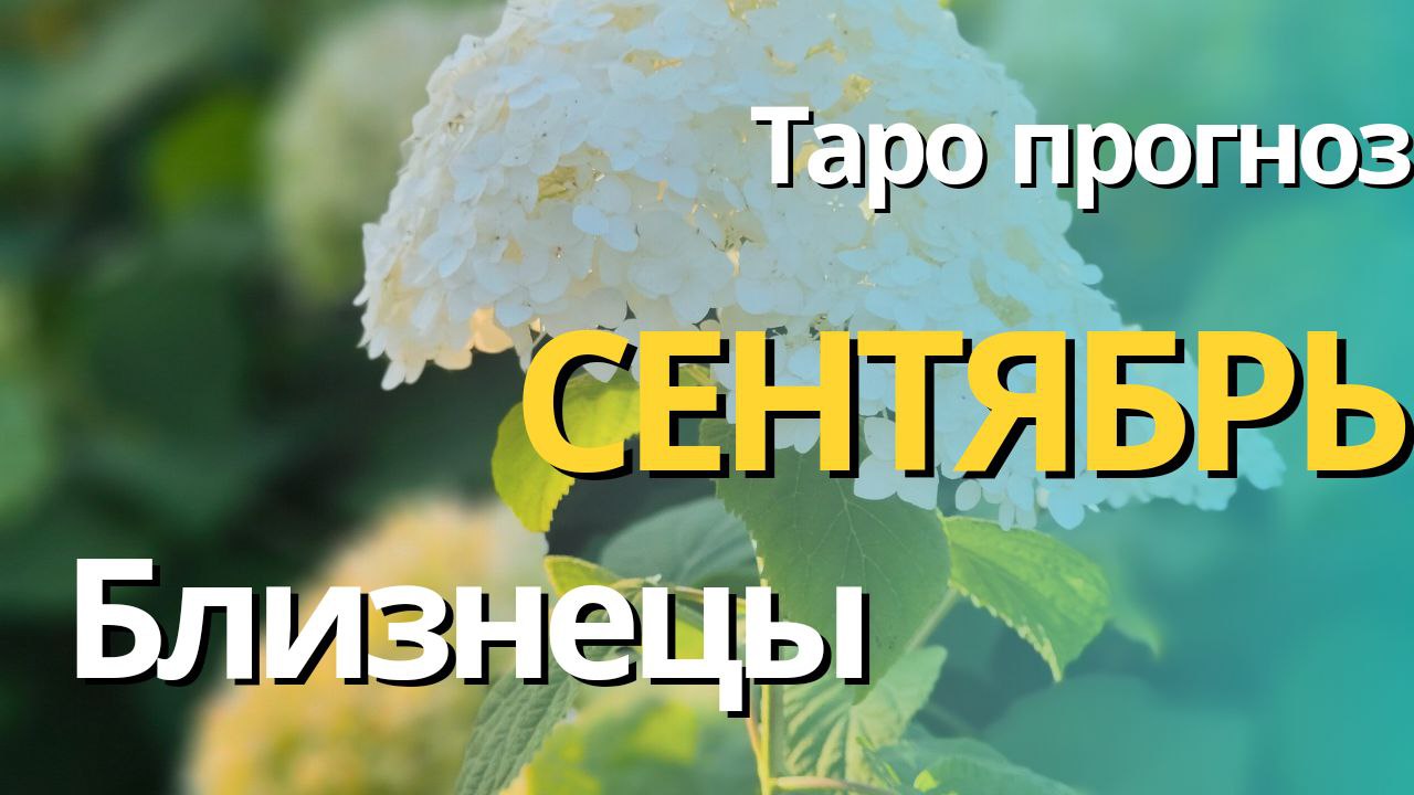 БЛИЗНЕЦЫ СЕНТЯБРЬ  2023 [Таро прогноз]