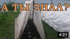 ШПАЛЕРА для ОГУРЦОВ своими руками: 2-й оборот