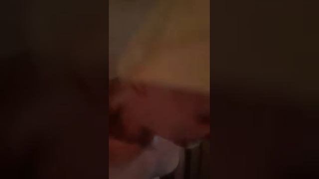 Собака париться в бане 100 градусов #2 смотреть онлайн