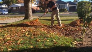 True Temper Leaf Rake Review