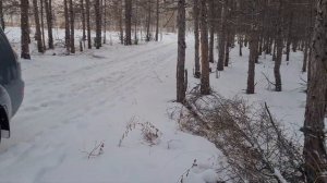 Пневмобаллоны в пружины на Mitsubishi Outlander xl 2.4 2008