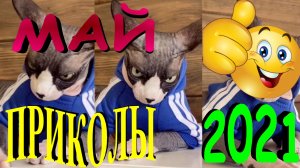 ПРИКОЛЫ 2021 САМЫЕ НОВЫЕ!!!!СМОТРЕТЬ ПРИКОЛЫ 2021!!!#12.mp4