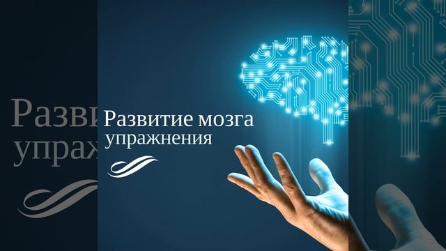 Дзен сад смотреть онлайн