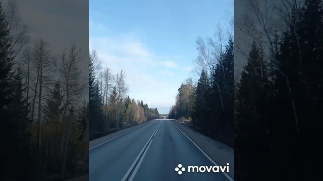 Попал в сказку "Гуси-лебеди" смотреть онлайн