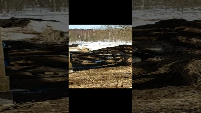 Ежедневная прокачка скважины