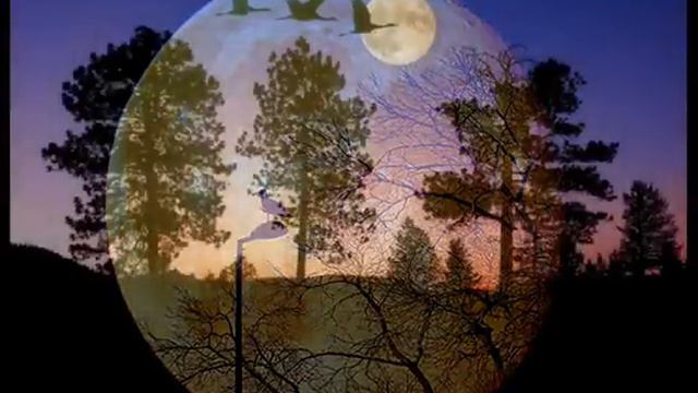 cumbia....LUNA LUNERA ,cumbia,sonidera смотреть онлайн