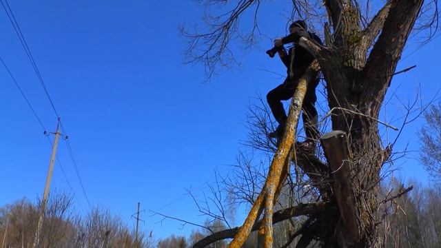 Роберт Андреев. Профессионал. смотреть онлайн