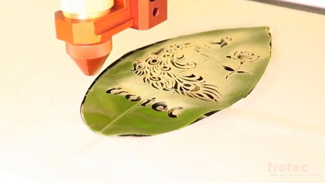 Лазерная гравировка листа растения | Trotec Laser