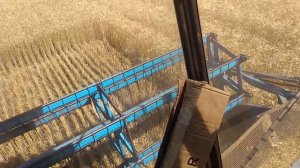 Уборка зерновых культур 2020. Бизон 110