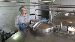 Богородский молочный завод начал производство творога