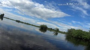 Рыбалка 2018.Июнь. Томская обл, р.Менгерь.