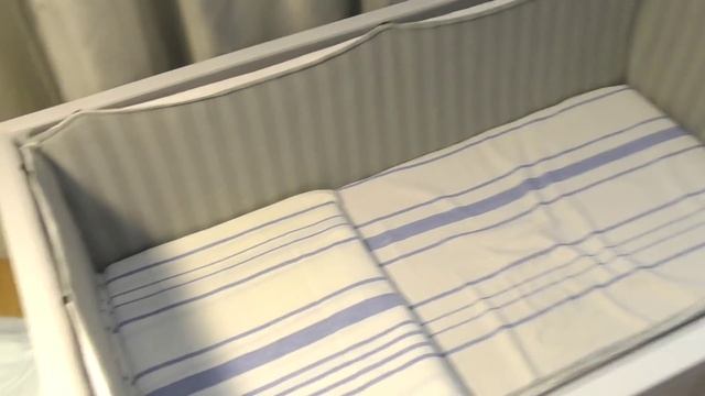 Щенкам шпица 2 дня. Вес не прибавляется. Шпиц Бэлла поседела. О проблемах