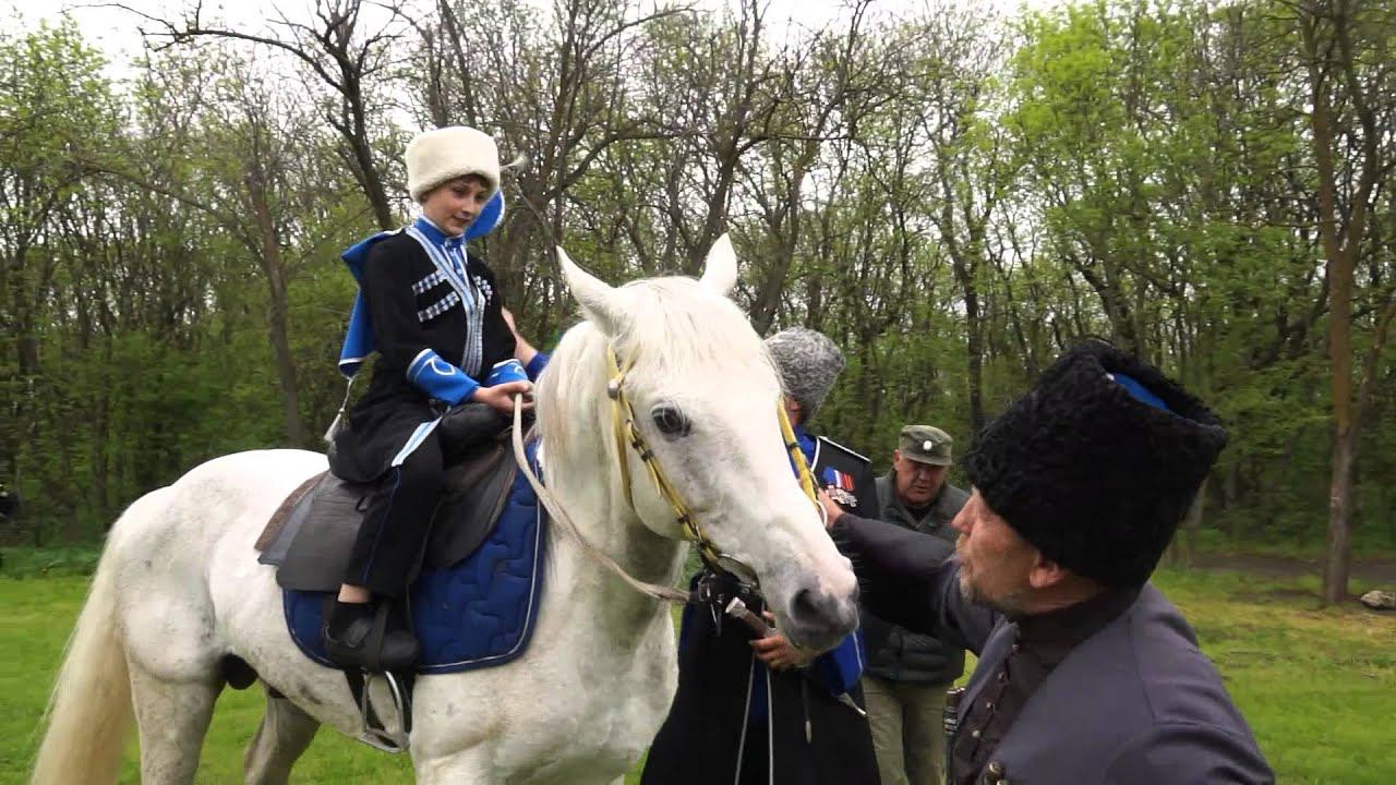 Погонял коня гужевым. Посажение на коня. Казачьи традиции посажение на коня. Стих посажение на коня.