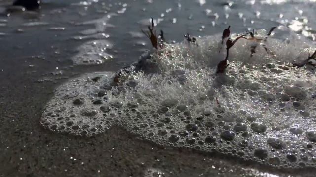 Франция/ Пикник и прогулка на природе смотреть онлайн