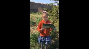 Читаем Есенина. Черёмуха душистая