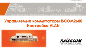 Raisecom - управляемые коммутаторы. Первоначальная настройка