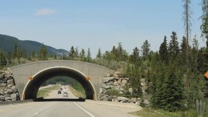 Автопутешествие по Канаде. Нереально красивый парк Банфф