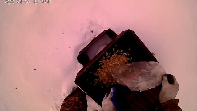 Копчение рыбы в домашних условиях .