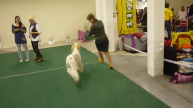 BEL ETUAL LANCELOT смотреть онлайн